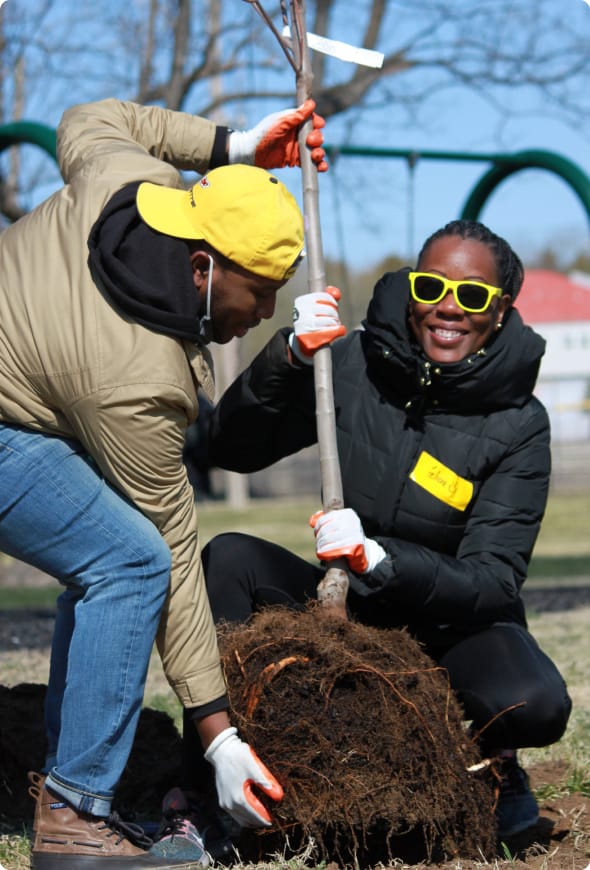 Two people wearing gloves and jackets plant a young tree outdoors. One holds the trunk upright while the other steadies the root ball. Both appear focused, and one smiles and wears yellow sunglasses.